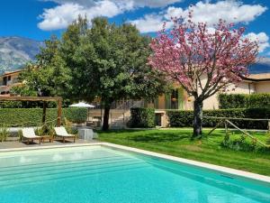 una piscina en un patio con un árbol en Agriturismo di Charme erbadoro, en Alvito
