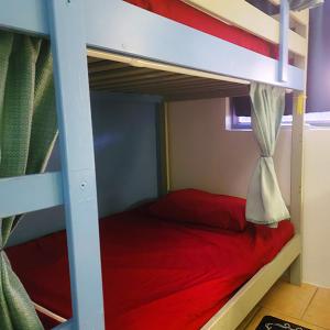 パーム・スプリングスにあるCrashpod Hostelのベッドルーム1室(二段ベッド2組、赤いベッド1台付)