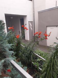 un grupo de flores rojas delante de un edificio en Apartment Dahlia Vienna, en Viena