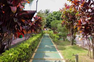 ścieżka przez ogród z drzewami i roślinami w obiekcie Casa de temporada Refugio das Aguias w mieście Ubatuba