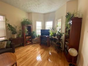 uma sala de estar com vasos de plantas nas paredes em Egleston Square Condo Jamaica Plain em Boston