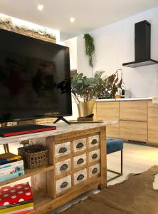 Telewizja i/lub zestaw kina domowego w obiekcie ApARTment Madrid