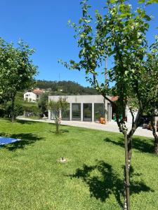 Ein Baum im Hof eines Hauses in der Unterkunft Casa dos Avós in Póvoa de Lanhoso