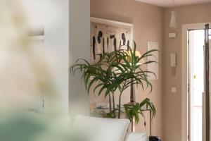 roślina w pokoju obok kanapy w obiekcie Apartamento estilo árabe en el centro De San Pedro de Alcántara - Toledo 1b w Marbelli
