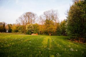 a field of green grass with trees in the background at Stan u.nás in Dolní Řasnice