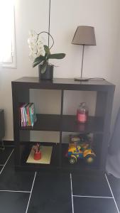 a black shelf with a potted plant and a lamp at Maison vue Cité 2 in Carcassonne