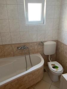 Kúpeľňa v ubytovaní Apartmani IvaMia + 37 fotografií
