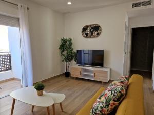 TV a/nebo společenská místnost v ubytování Pavone Apartments Málaga