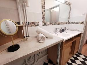 ブローニュ・シュル・メールにあるAcapulco, Superbe souplex proximité vieille villeの洗面台と鏡のあるバスルーム