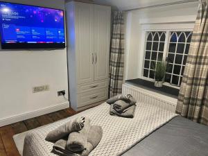 um quarto com uma televisão e duas pessoas deitadas numa cama em Abbey Cottage em Llangollen