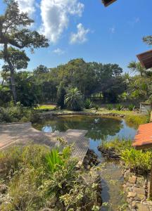 un estanque en un jardín con árboles en el fondo en Pousada Pacha Mama Village Bombinhas, en Bombinhas