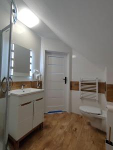 ein Badezimmer mit einem Waschbecken, einem WC und einem Spiegel in der Unterkunft wczasypustkowo in Pustkowo