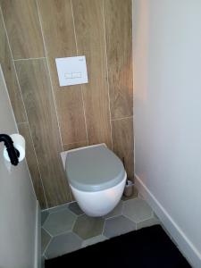 a bathroom with a white toilet in a room at Ti Fanch, maison proche de Quimper in Landudal