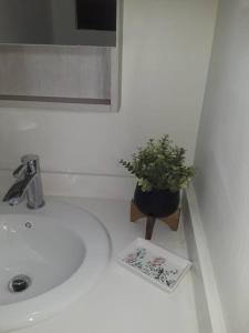 a bathroom sink with a potted plant on top of it at Tranquil 2 bedroom townhouse in Discovery Bay in Discovery Bay