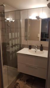La salle de bains est pourvue d'un lavabo et d'une douche en verre. dans l'établissement Maisonnette 6 personnes en Auvergne à Saint Remy sur Durolle, 