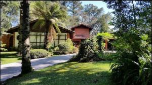 a house with a palm tree and a driveway at CASA GOLDONI GRAMADO 4 Quartos in Gramado