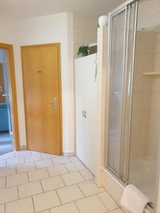 a bathroom with a shower and a glass door at Ferienwohnung Weißes Ross in Pirna