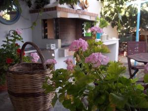 Gallery image of Nefeli in Drios