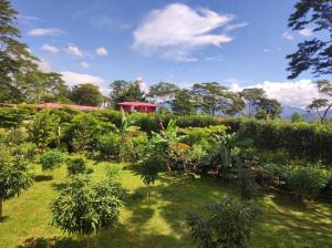 a garden with trees and a red house in the background at Casa Campestre Denis in Guamal