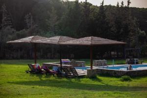 Bazén v ubytovaní Villa Georgina B&B alebo v jeho blízkosti