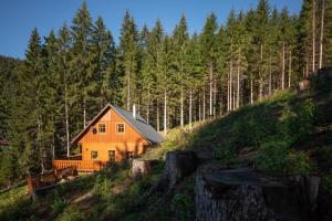 an orange house in the middle of a forest at Chalupa na Leskové in Velké Karlovice