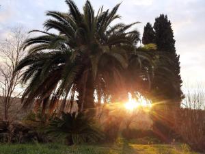 Vonkajšia záhrada v ubytovaní La Meriggia Senigallia Agriturismo