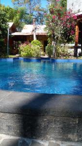 a blue swimming pool in front of a house at Elephant House and Bungalows Gili Air in Gili Air