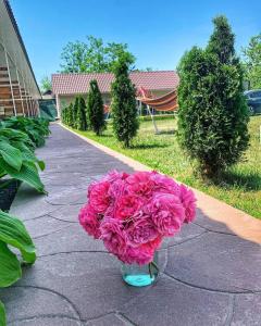 Zahrada ubytování Буджак / Budjak