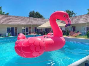 a pink inflatable pink flamingo in a swimming pool at Буджак / Budjak in Primorskoye