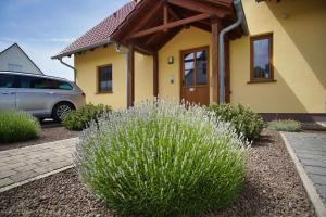 Ein Garten an der Unterkunft Schicke FeWo mit Terrasse, gratis Nutzung vom AHOI Erlebnisbad und Sauna in Sellin - Haus De niege Wech FeWo 01