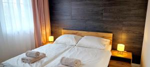 Postel nebo postele na pokoji v ubytování Aquamara Aquapark Tatralandia