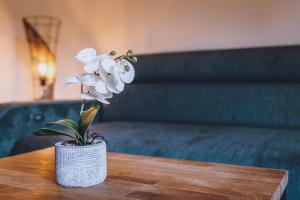 Część wypoczynkowa w obiekcie Premium Apartments Areit by we rent, SUMMERCARD INCLUDED