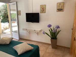 TV a/nebo společenská místnost v ubytování L'Enclos