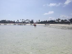 a group of people standing in the water on a beach at Zanzicrown in Nungwi