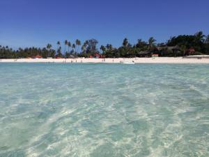 a view of a beach from the water at Zanzicrown in Nungwi
