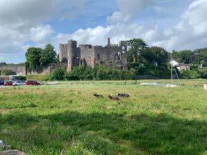 a castle in a field with some animals in the grass at Dylan Thomas Sea View in Laugharne