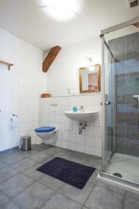 a bathroom with a shower and a toilet and a sink at Birkenhof an der Ostsee in Hohenkirchen