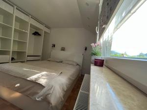 Gallery image of Pod Galetovcem in Bohinjska Bela