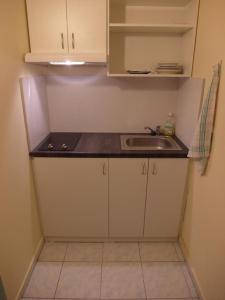 a small kitchen with a sink and a counter at Hotel Harfa in Prague