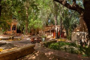 Zahrada ubytování Ecolodge La Palmeraie