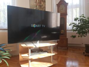 TV a/nebo společenská místnost v ubytování Apartmán Kraslice