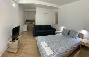 a bedroom with a bed and a couch and a television at Stojanoski Studios & Rooms in Trpejca