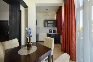 Kuchyň nebo kuchyňský kout v ubytování Hotel Aurum