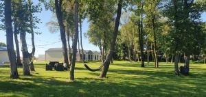 park z drzewami i zieloną trawą oraz budynek w obiekcie Lumi Resort Domki letniskowe z podgrzewanym basenem w Rewalu
