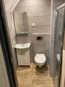 a small bathroom with a toilet and a sink at Pokoje blisko morza in Sarbinowo +28 photos