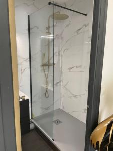 a shower with a glass door in a bathroom at Family Hôtel FUTUROSCOPE in Jaunay-Clan +60 photos