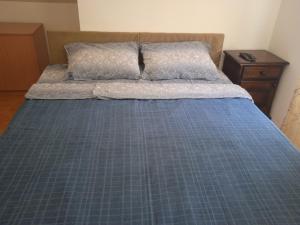 a bed with a blue plaid bedspread and two pillows at Mikasa in Niš +6 photos
