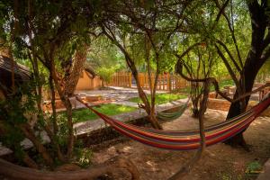Zahrada ubytování Ecolodge La Palmeraie
