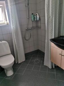 een badkamer met een toilet, een douche en een wastafel bij Kørestolsvenligt dbl. vær. in Nykøbing Mors
