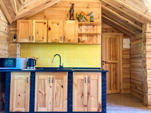 a kitchen with wooden cabinets and a sink in a cabin at Domki Kaktus in Osieki